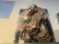-斯琴阿妈蒙古餐厅(新城店)