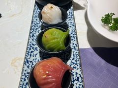 -点都德·毕德寮
