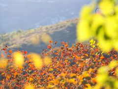 -周口店坡峰岭风景区