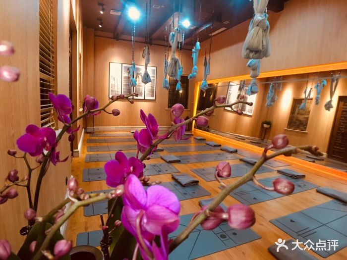 拉伽瑜伽lajia yoga(龙岗清林径店)图片