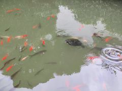 -宁波市保国寺古建筑博物馆