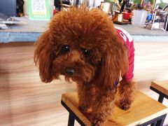 -ZooYoo佐佑咖啡(鼓楼店)