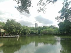 -晓港公园