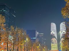 -合景·悠方(成都店)