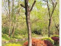 -合肥三国新城遗址公园