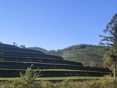 -东钱湖小普陀景区