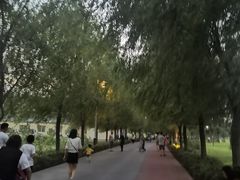 -咸阳湖景区