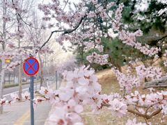 -玲珑塔公园