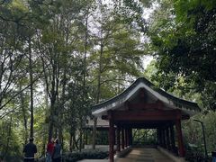 -南岗山公园