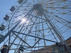 -广东花都香草世界旅游度假区