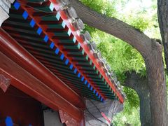 -北京国子监胡同