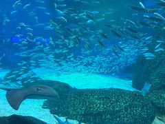 -海合安成都极地海洋公园
