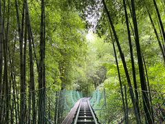 -藏龙百瀑风景区