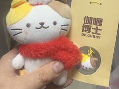 -伽喱博士 Dr.CURRY咖喱饭(太阳宫咖喱店)