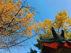 -金堂县云顶石城风景区