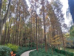 -黄兴公园