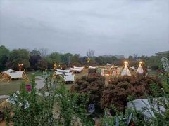 -徐州绿地皇冠假日酒店-汉宫中餐厅