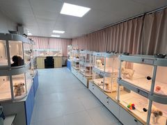 -翊宠yipet猫狗购宠庄园犬舍•猫舍