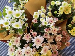 -万达广场(南宁青秀店)