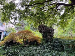 -申粤轩酒楼·三十年粤菜经典(丁香花园店)