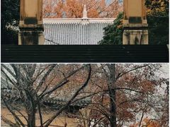 -灵谷景区