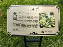 -颐和园