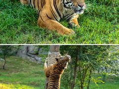 -济南野生动物世界