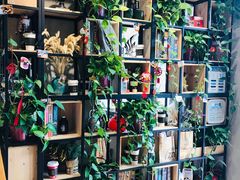 -ZING COFFEE 镜咖啡