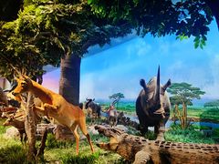 -国家自然博物馆