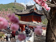 -红螺寺