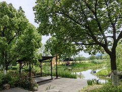 -长田漾湿地公园
