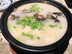 极品乾隆鱼头汤-桂满陇天书(南京德基旗舰店)