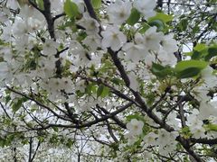 -国际非物质文化遗产博览园