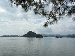 -宝荣鱼馆·临湖之宴(千岛湖店)