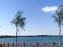 -丁香湖公园