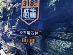 -梭布垭石林景区