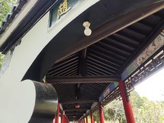 -南汇桃花村