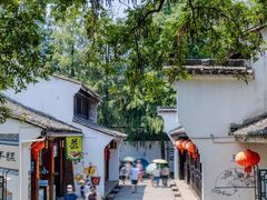 -西溪国家湿地公园