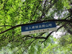 -石台牯牛降景区
