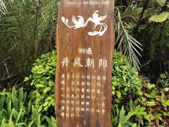 -清远熹乐谷温泉度假酒店