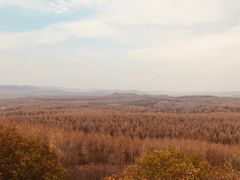 -塞罕坝国家级自然保护区