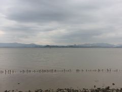 -深圳湾公园(南山区)