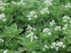 -龙坑生态保护区