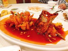 松鼠桂鱼-金时代顺风大酒店(协泰店)