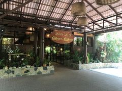 -卷心菜和避孕套餐厅(Pattaya)