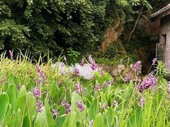 -东钱湖旅游度假区