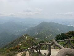 -梧桐山风景名胜区