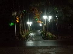 -峨眉山报国寺