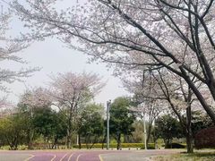 -尚贤河湿地