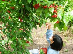 -樱桃山旅游景区